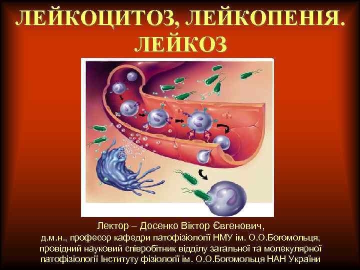 ЛЕЙКОЦИТОЗ, ЛЕЙКОПЕНІЯ. ЛЕЙКОЗ Лектор – Досенко Віктор Євгенович, д. м. н. , професор кафедри