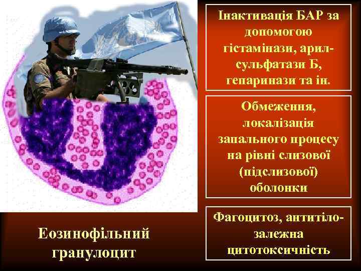 Інактивація БАР за допомогою гістамінази, арилсульфатази Б, гепаринази та ін. Обмеження, локалізація запального процесу