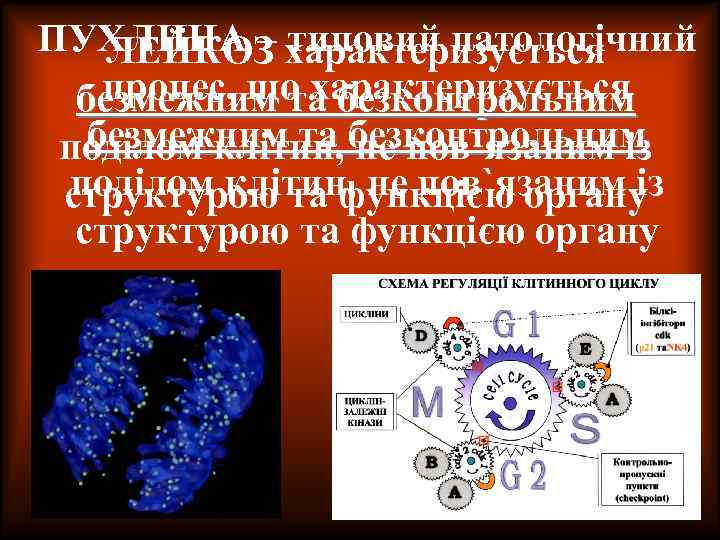 ПУХЛИНА – характеризується ЛЕЙКОЗ типовий патологічний процес, що характеризується безмежним та безконтрольним безмежним та