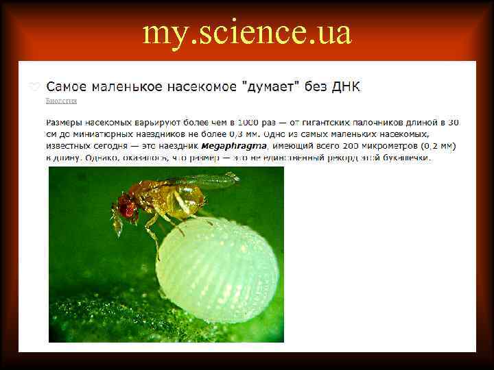 my. science. ua 