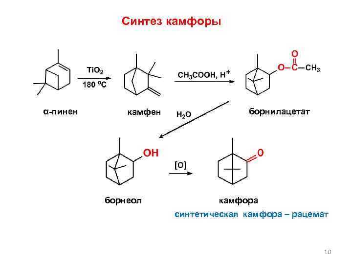 Синтез камфоры α-пинен камфен борнеол борнилацетат камфора синтетическая камфора – рацемат 10 
