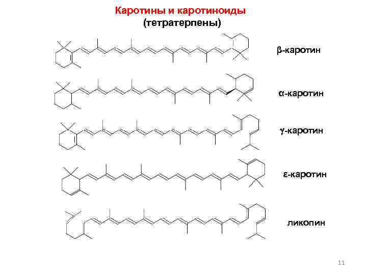 Каротины и каротиноиды (тетратерпены) β-каротин α-каротин ε-каротин ликопин 11 