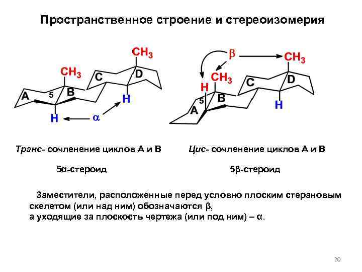 Пространственное строение и стереоизомерия Транс- сочленение циклов А и В 5α-стероид Цис- сочленение циклов
