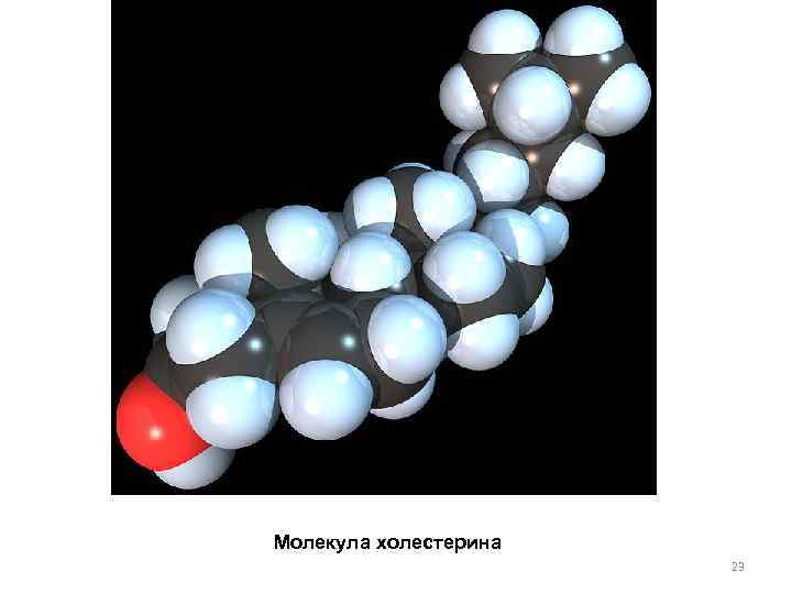 Молекула холестерина 23 
