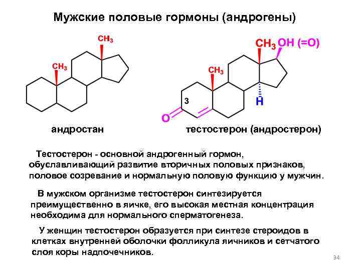 Мужские половые гормоны (андрогены) андростан тестостерон (андростерон) Тестостерон - основной андрогенный гормон, обуславливающий развитие