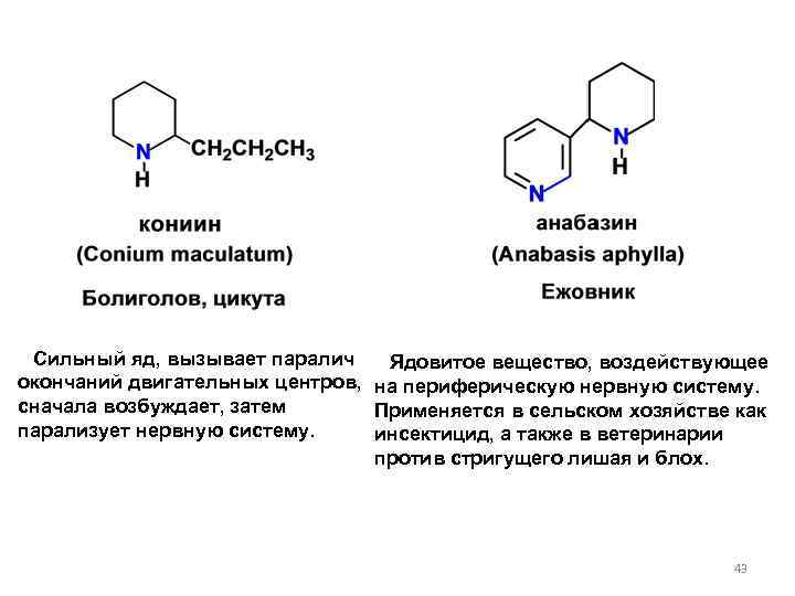 Сильный яд, вызывает паралич Ядовитое вещество, воздействующее окончаний двигательных центров, на периферическую нервную систему.