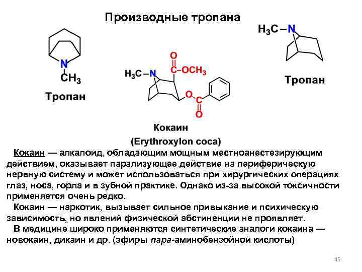 Производные тропана Кокаин — алкалоид, обладающим мощным местноанестезирующим действием, оказывает парализующее действие на периферическую