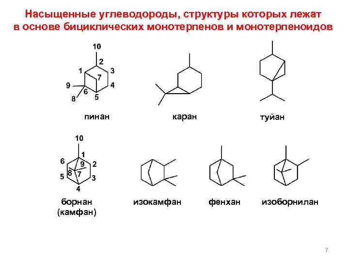 Насыщенные углеводороды, структуры которых лежат в основе бициклических монотерпенов и монотерпеноидов пинан борнан (камфан)