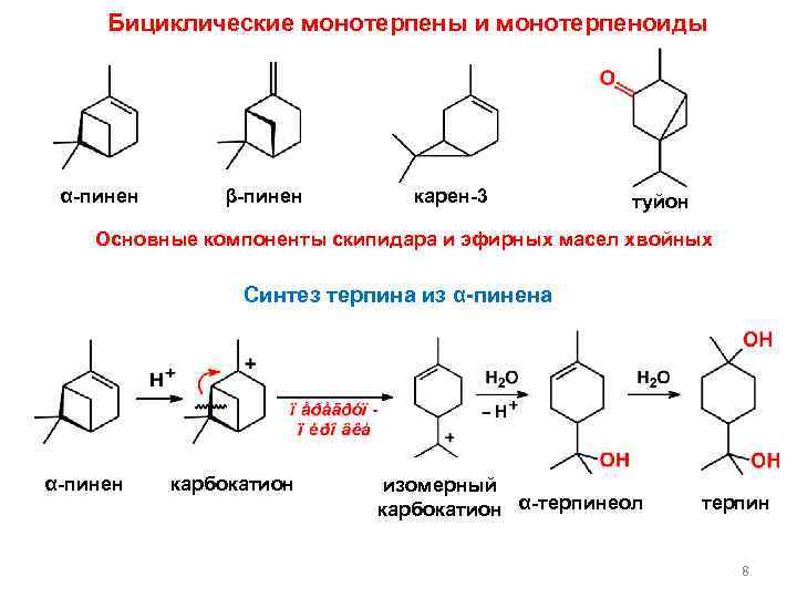 Туйон