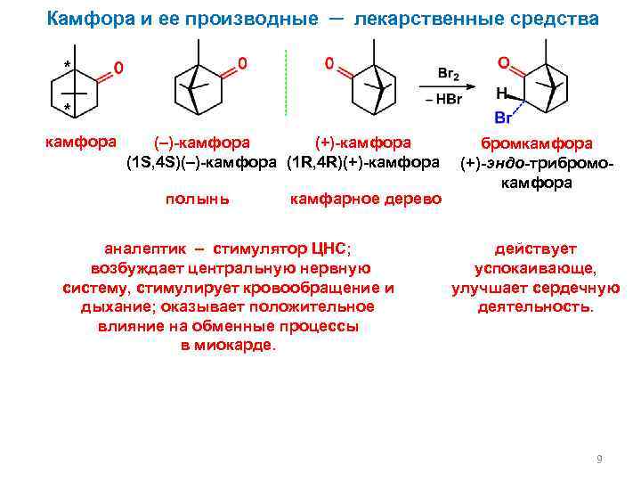 Камфора и ее производные ─ лекарственные средства * * камфора (–)-камфора (+)-камфора (1 S,