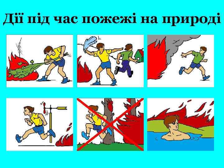 Дії під час пожежі на природі 