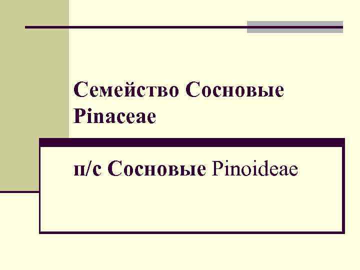 Семейство Сосновые Pinaceae п/с Сосновые Рinoideae 
