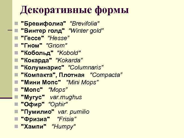 Декоративные формы n n n n 