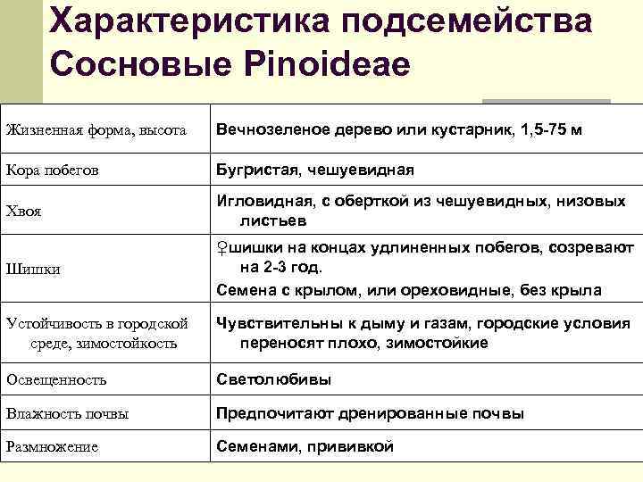 Характеристика подсемейства Сосновые Рinoideae Жизненная форма, высота Вечнозеленое дерево или кустарник, 1, 5 -75
