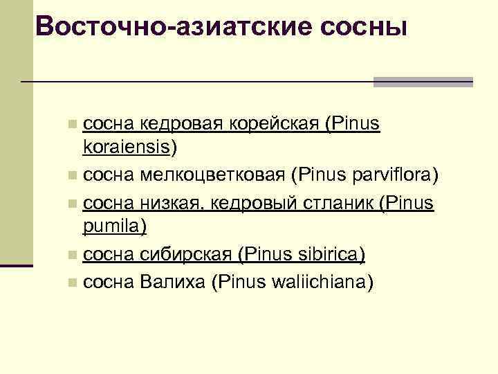 Восточно-азиатские сосны сосна кедровая корейская (Pinus koraiensis) n сосна мелкоцветковая (Pinus parviflora) n сосна
