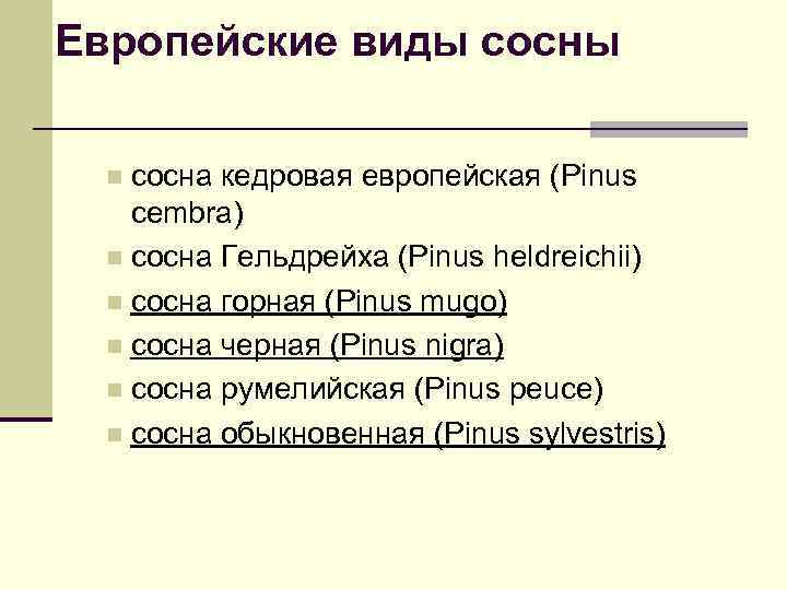 Европейские виды сосна кедровая европейская (Pinus cembra) n сосна Гельдрейха (Pinus heldreichii) n сосна