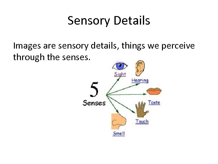 Sensory Details Images are sensory details, things we perceive through the senses. 