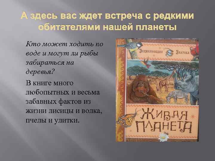 А здесь вас ждет встреча с редкими обитателями нашей планеты Кто может ходить по