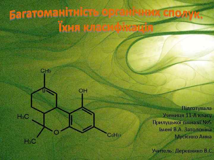 Підготувала Учениця 11 -А класу Прилуцької гімназії № 5 Імені В. А. Затолокіна Мусієнко