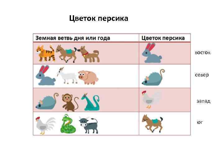 Цветок персика восток север запад юг 