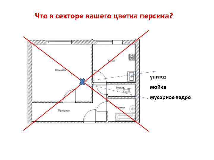 Что в секторе вашего цветка персика? 