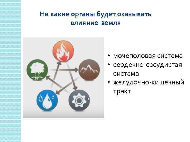 На какие органы будет оказывать влияние земля • мочеполовая система • сердечно-сосудистая система •