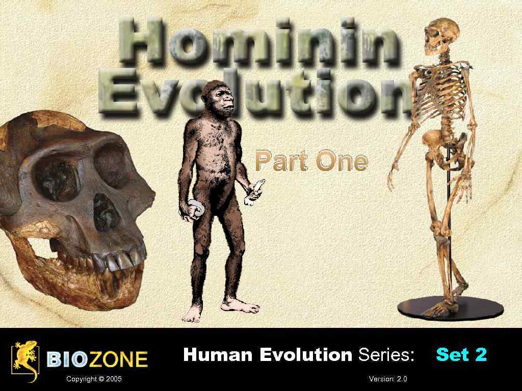 Part One Human Evolution Series: Copyright © 2005 Version: 2. 0 Set 2 