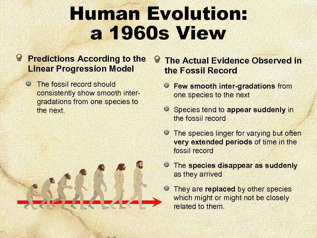 Human Evolution: a 1960 s View Predictions According to the Linear Progression Model The