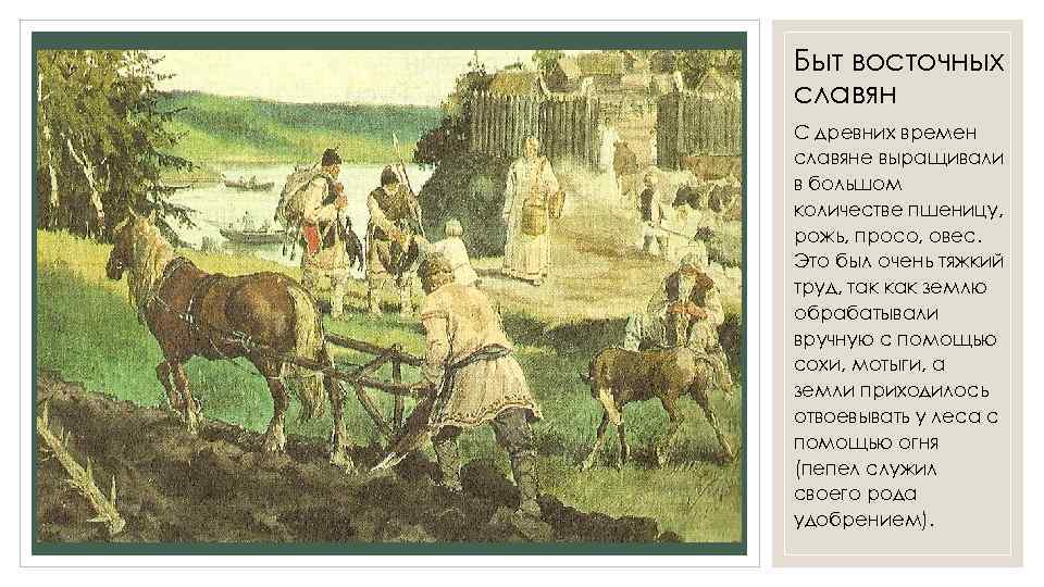 Быт восточных славян С древних времен славяне выращивали в большом количестве пшеницу, рожь, просо,