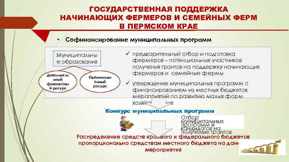 ГОСУДАРСТВЕННАЯ ПОДДЕРЖКА НАЧИНАЮЩИХ ФЕРМЕРОВ И СЕМЕЙНЫХ ФЕРМ В ПЕРМСКОМ КРАЕ • Софинансирование муниципальных программ