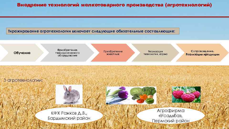 Внедрение технологий мелкотоварного производства (агротехнологий) Тиражирование агротехнологии включает следующие обязательные составляющие: Обучение Приобретение технологического