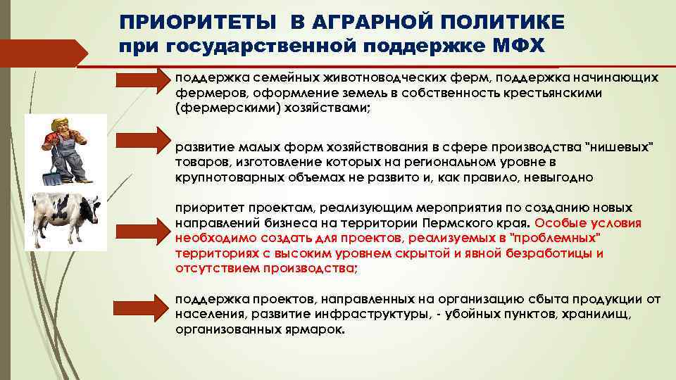 ПРИОРИТЕТЫ В АГРАРНОЙ ПОЛИТИКЕ при государственной поддержке МФХ поддержка семейных животноводческих ферм, поддержка начинающих