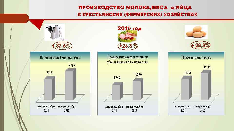 ПРОИЗВОДСТВО МОЛОКА, МЯСА и ЯЙЦА В КРЕСТЬЯНСКИХ (ФЕРМЕРСКИХ) ХОЗЯЙСТВАХ 2015 год + 37, 6%