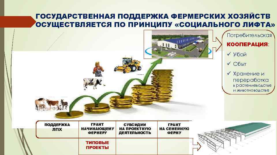 ГОСУДАРСТВЕННАЯ ПОДДЕРЖКА ФЕРМЕРСКИХ ХОЗЯЙСТВ ОСУЩЕСТВЛЯЕТСЯ ПО ПРИНЦИПУ «СОЦИАЛЬНОГО ЛИФТА» Потребительская КООПЕРАЦИЯ: ü Убой ü