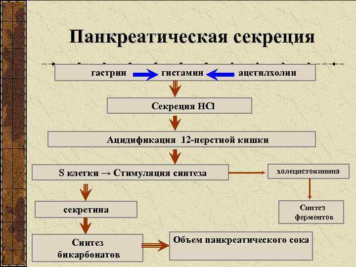 Панкреатическая секреция гастрин гистамин ацетилхолин Секреция HCl Ацидификация 12 -перстной кишки S клетки →
