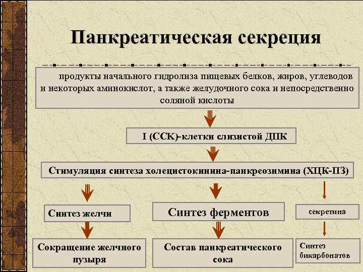 Панкреатическая секреция продукты начального гидролиза пищевых белков, жиров, углеводов и некоторых аминокислот, а также