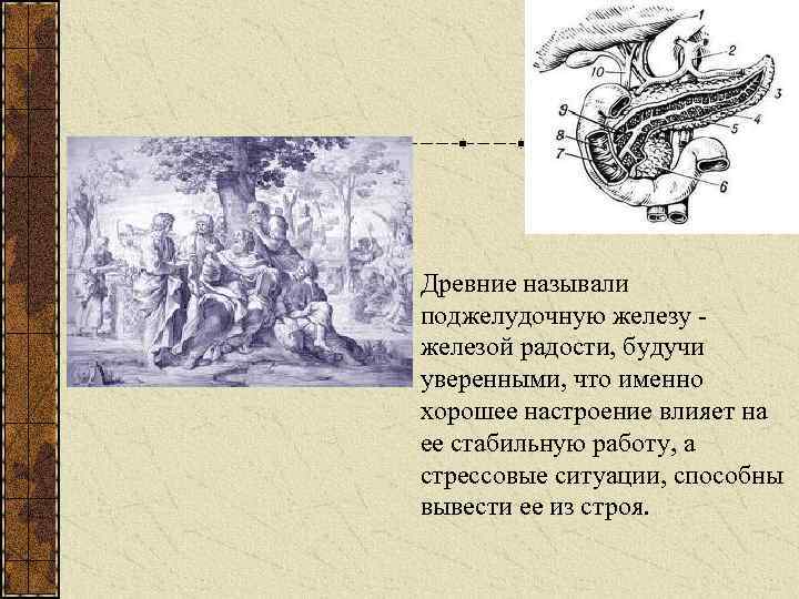 Древние называли поджелудочную железу - железой радости, будучи уверенными, что именно хорошее настроение влияет