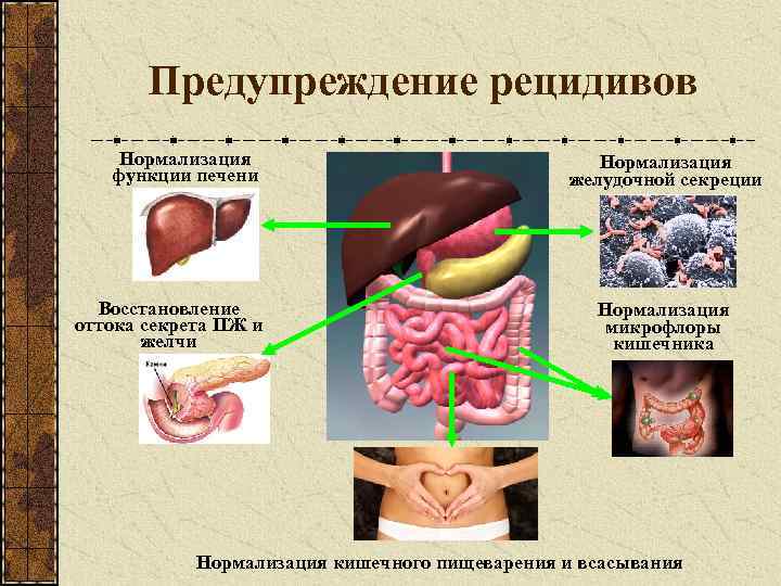Предупреждение рецидивов Нормализация функции печени Восстановление оттока секрета ПЖ и желчи Нормализация желудочной секреции