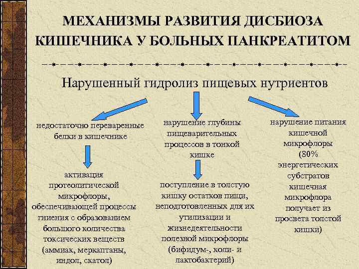 МЕХАНИЗМЫ РАЗВИТИЯ ДИСБИОЗА КИШЕЧНИКА У БОЛЬНЫХ ПАНКРЕАТИТОМ Нарушенный гидролиз пищевых нутриентов недостаточно переваренные белки