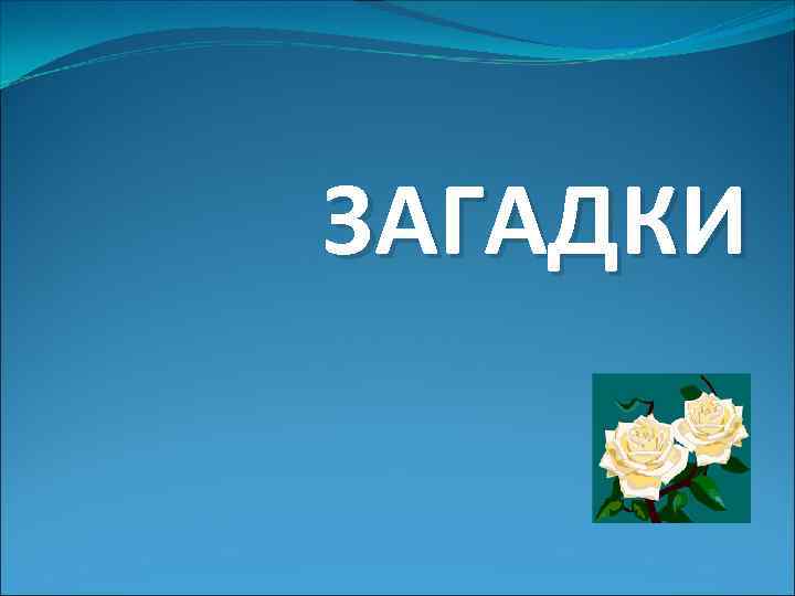 ЗАГАДКИ 