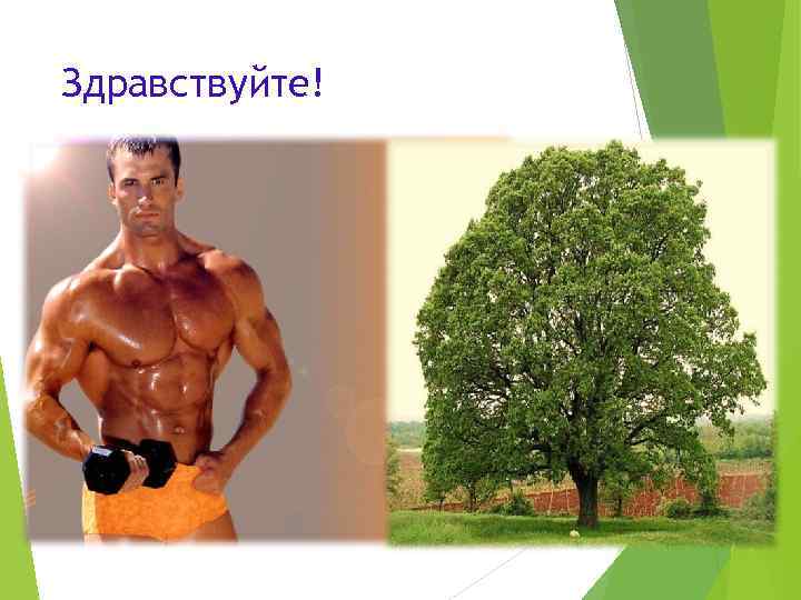 Здравствуйте! 