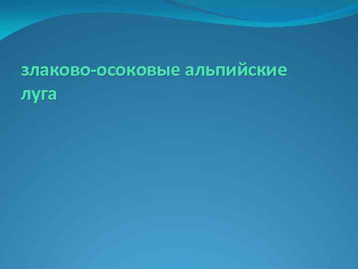 злаково-осоковые альпийские луга 
