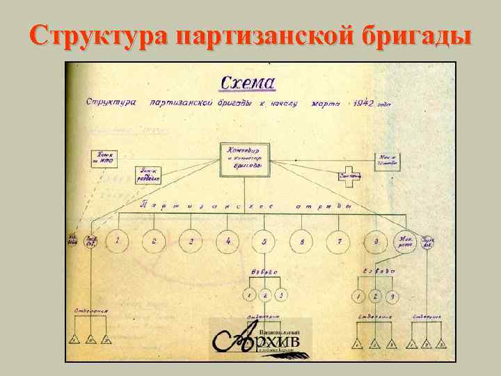 Структура партизанской бригады 