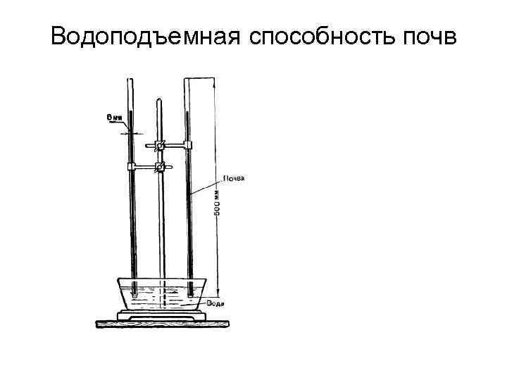 Водоподъемная способность почв 