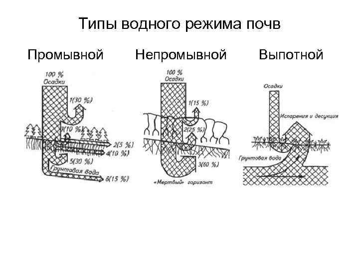 Водный режим почв. Типы водного режима почв. Промывной Тип водного режима почв. Непромывной Тип водного режима почв. Промывной Тип водного режима формируется.