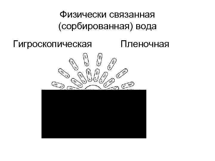 Физически связанная (сорбированная) вода Гигроскопическая Пленочная 