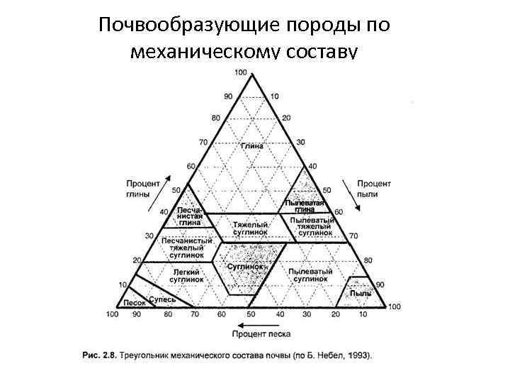 Почвообразующие породы по механическому составу 