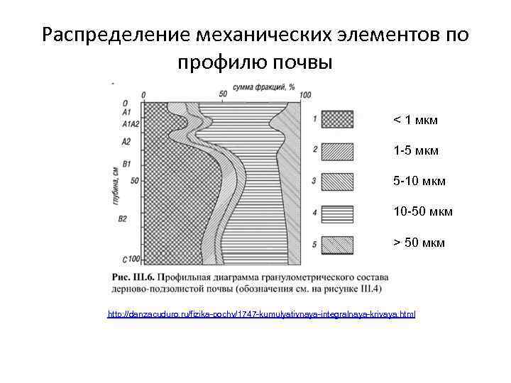 Классификация механических элементов почв. Распределение механических элементов по профилю почвы <. Типы распределения веществ в почвенном профиле. Распределение гумуса по профилю. Распределение гумуса по профилю почвы.