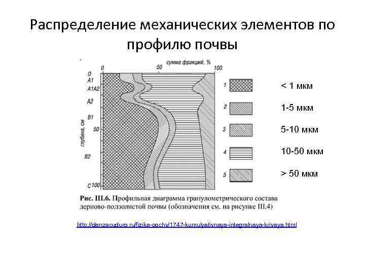 Распределение механических элементов по профилю почвы < 1 мкм 1 -5 мкм 5 -10