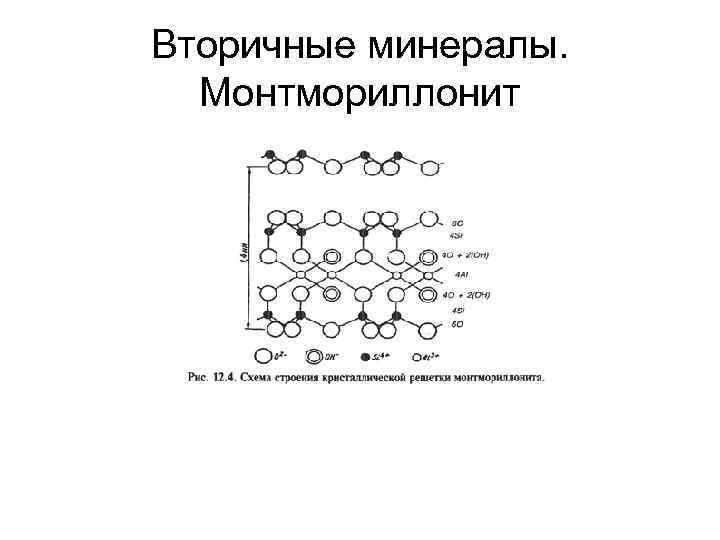 Вторичные минералы. Монтмориллонит 